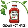 Heinz Tomato Ketchup