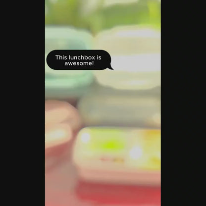 Leak-Proof Stainless Steel Lunch Box